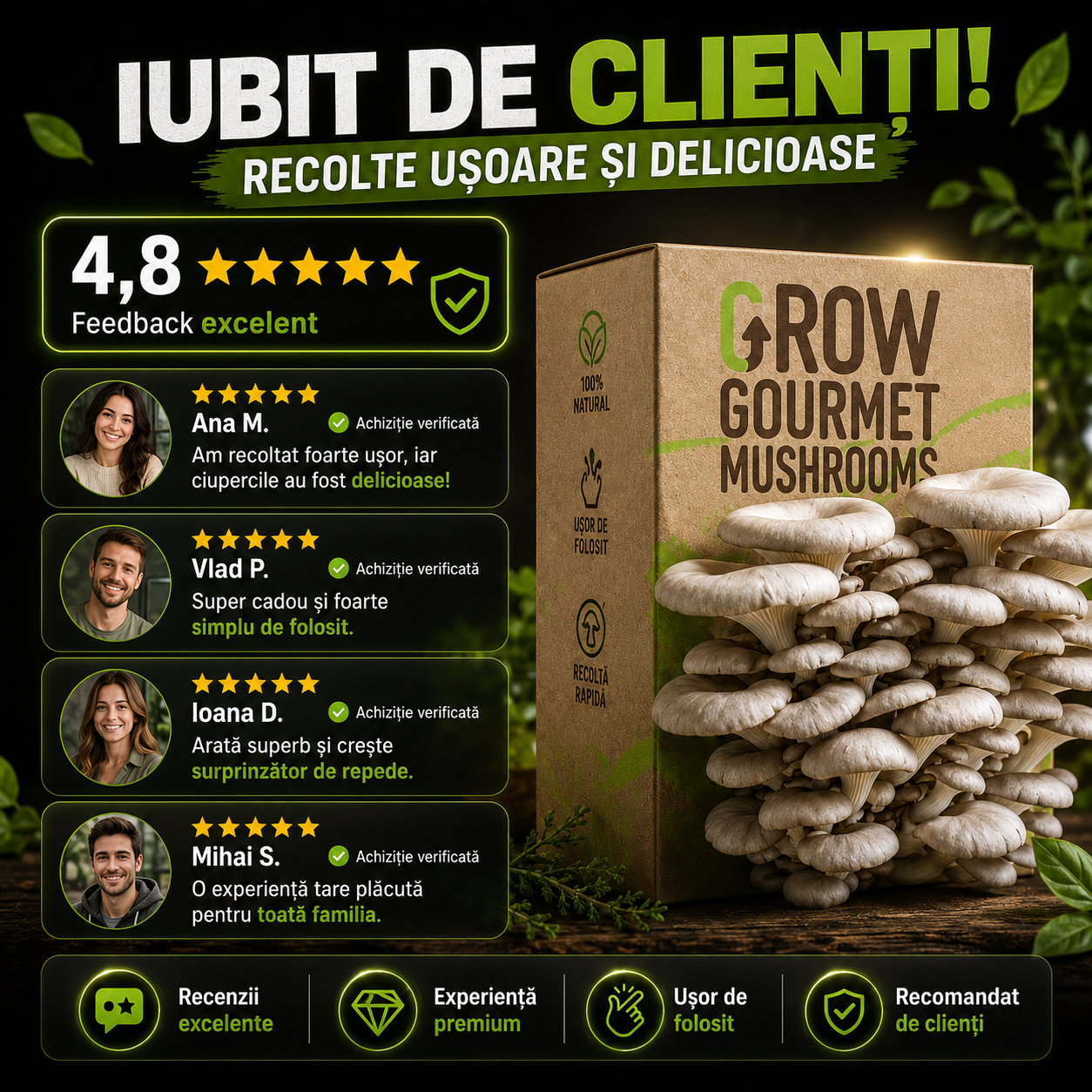 Kit de Cultivare Ciuperci Pleurotus Acasă