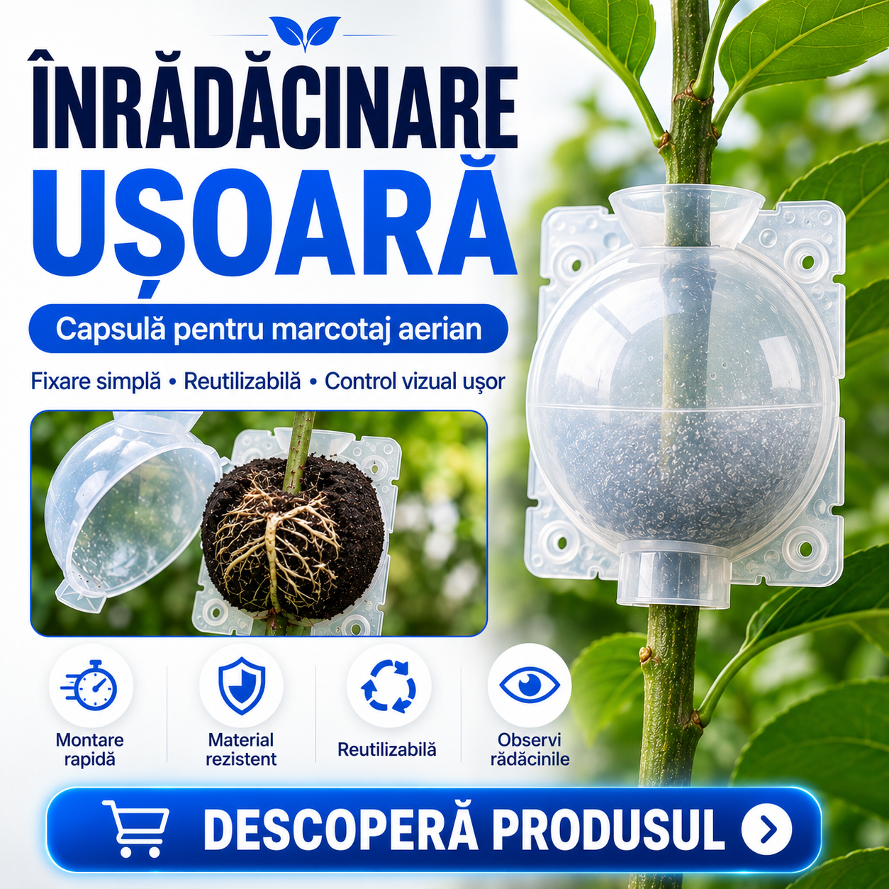 Capsulă pentru Înrădăcinarea Ramurilor