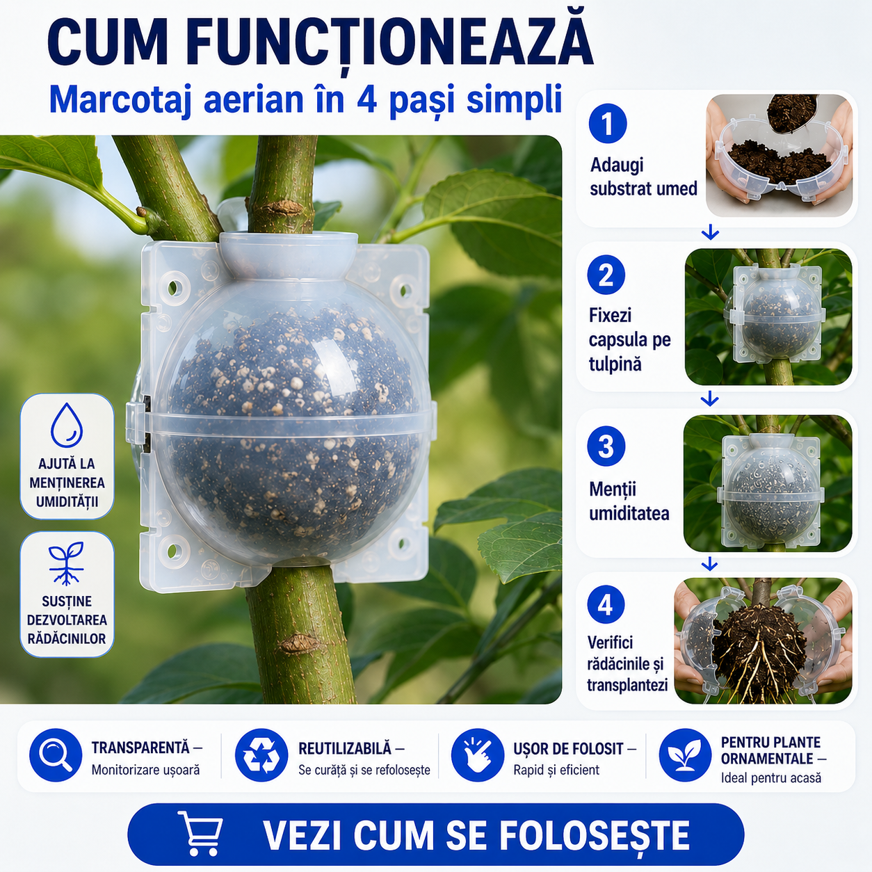 Capsulă pentru Înrădăcinarea Ramurilor